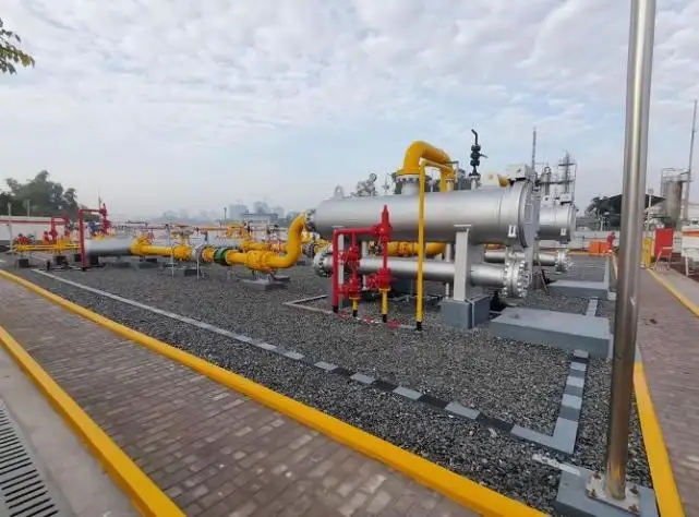 蜀南气矿：“把脉会诊”四川省首个储气库建设工作